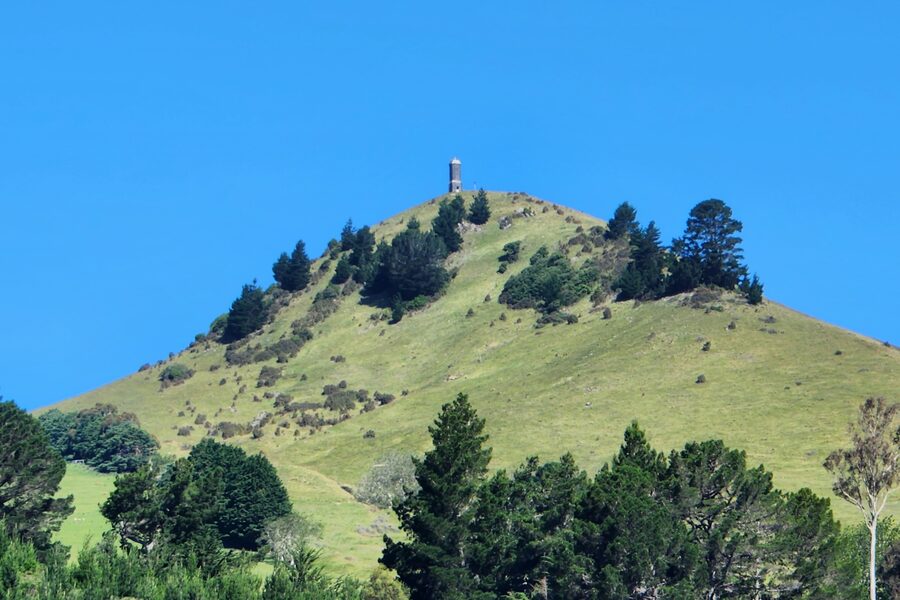 Puketapu