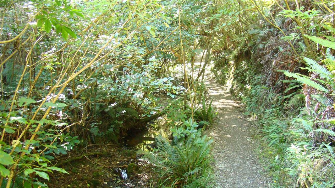 Trotters Gorge Scenic Reserve